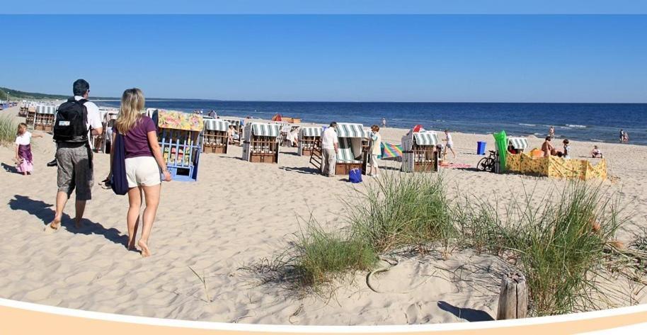 Strandvilla Alessandra ทรัสเซนไฮเดอ ภายนอก รูปภาพ